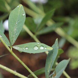 Meet your Posher, Eileen